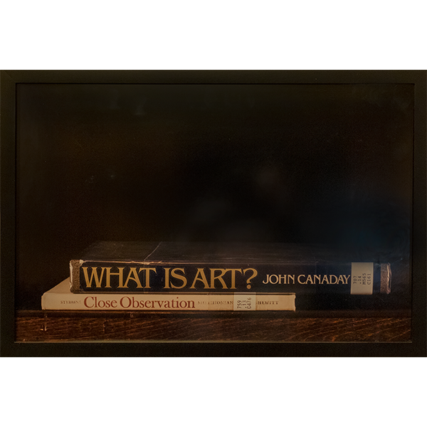 What is Art by Nina Katchadourian