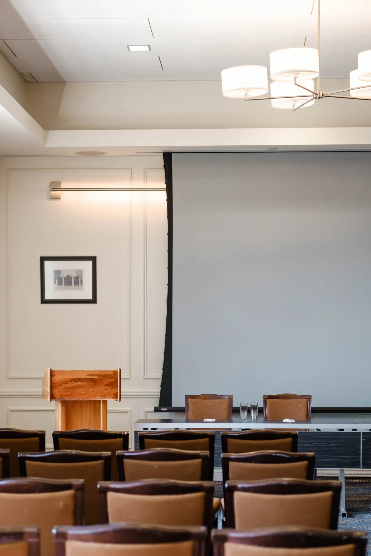 Presidential 2 projector screen