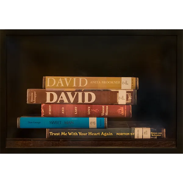 David by Nina Katchadourian.