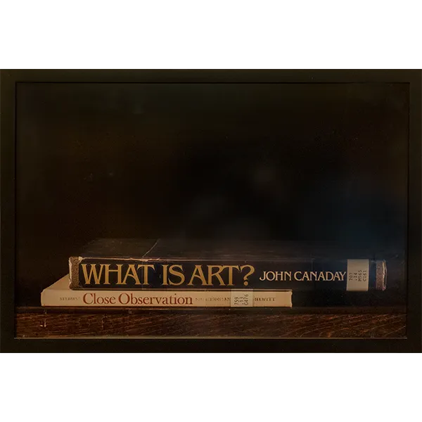 What is Art by Nina Katchadourian
