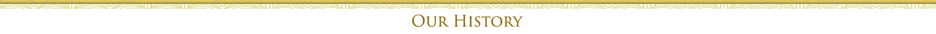 Our History