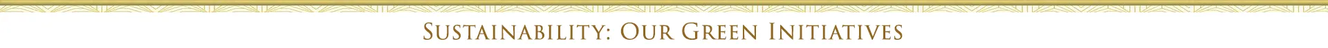 Sustainability: Our Green Initiatived